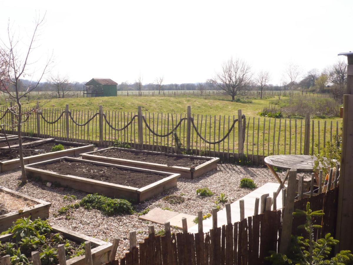 Tiny Willow Blandford Forum Exterior foto